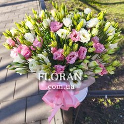 Букет з еустом у коробці - Фото 1