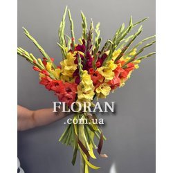 Букет з різнокольорових гладіолусів - Фото 1