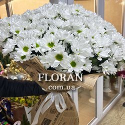 Букет з ромашками - Фото 1