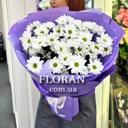 Bouquet of daisies - Photo 3
