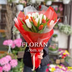 Червоні та білі тюльпани - Фото 1