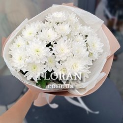 Хризантеми 5 штук - Фото 1