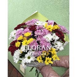 Хризантемы разных цветов - Фото 1