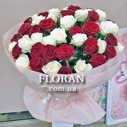 Красиві біло-червоні троянди - Фото 2