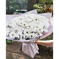 Красивий букет з ромашок - Фото 2