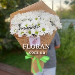 Кущові ромашки - Фото 3