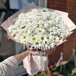 Лучший букет из ромашек - Фото 3