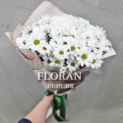 Small bouquet of daisies - Photo 3