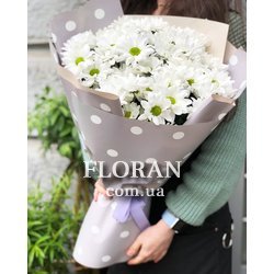 Невеликий букет із ромашок - Фото 1