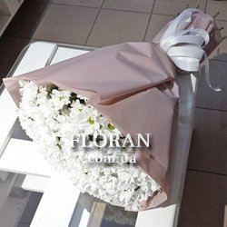 Ромашкоподібні квіти - Фото 2