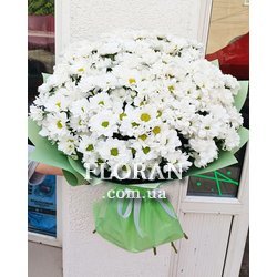 Ромашковий букет - Фото 1