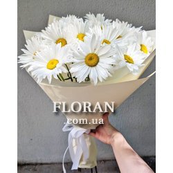 Ромашки для любимой - Фото 2