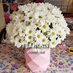 Ромашки в коробці - Фото 1