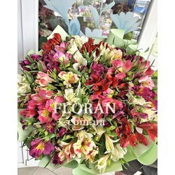 Яркий букет альстромерий - Фото 1