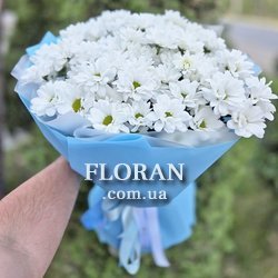 15 ромашок у крафті - Фото 4