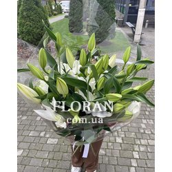 Квіти лілії букет - Фото 3