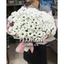 The best bouquets of daisies - Photo 4