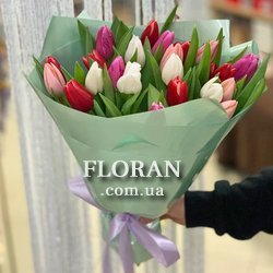 Tulips for the holiday - Photo 1