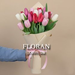Multicolored tulips - Photo 1