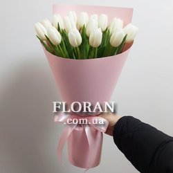 17 tulips - Photo 3