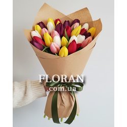 31 tulip mix - Photo 1