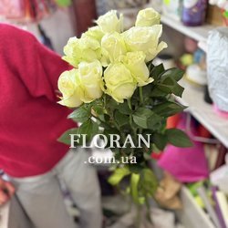 White Dutch roses - Photo 8