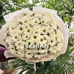 Букет білих ромашок - Фото 2