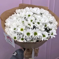 Bouquet of 11 daisies - Photo 8
