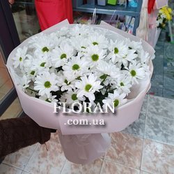 Букет із білих ромашкових хризантем - Фото 12