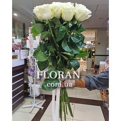 Bouquet of 11 white roses - Photo 7