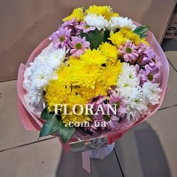 Різнокольорові хризантеми - Фото 2