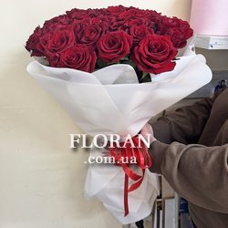 Роза Фрідом Еквадор - Фото 3