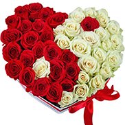 КОМПОЗИЦІЇ