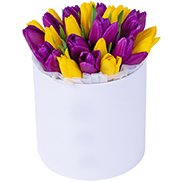 Тюльпани в коробці