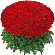 1001 троянда