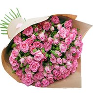 Нежные кустовые розы