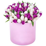 101 тюльпан в коробці
