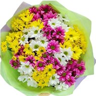 17 хризантем