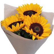 3 соняшники