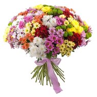 51 хризантема