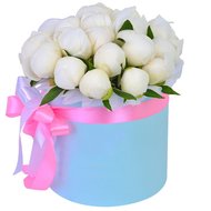 Білі півонії в коробці