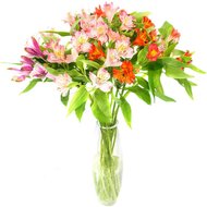 Букет із 11 альстромерій