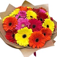 Букет з 25 Гербер