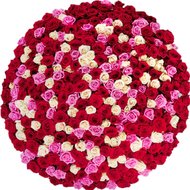 Букет з 501 троянди