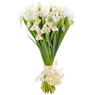Букет із білих ірисів