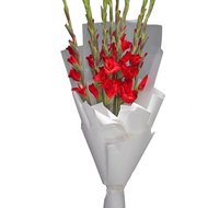 Букет з червоних гладіолусів
