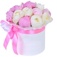 Букет півонії в капелюшній коробці