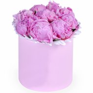 Квіти півонії рожеві в коробці