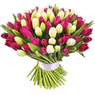 Дорогі тюльпани