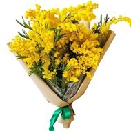 Мімоза в букеті